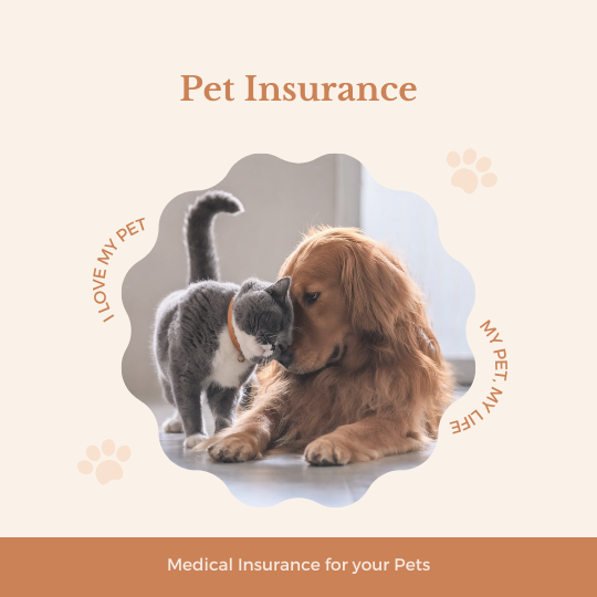 InsurancePortfolioImage